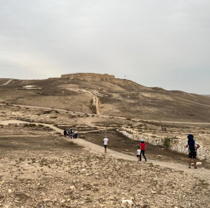תל ערד (צילום: רשות הטבע והגנים,חגי דביר)