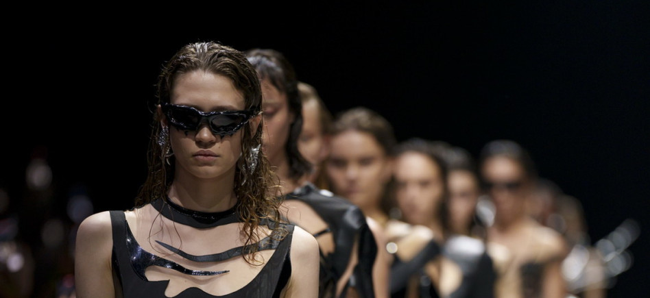 תצוגה של אלון ליבנה