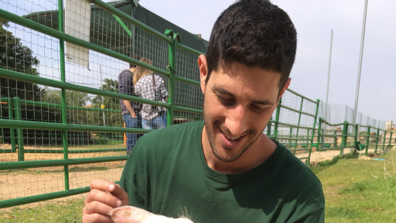 Una Carta di Credito Rivoluzionaria: Quando la Tecnologia Incontra la Sostenibilità e il Rispetto per gli Animali