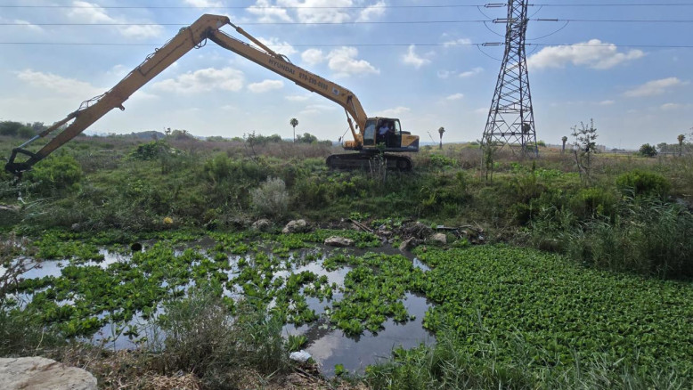 Restauro del fiume Gdora a Kiryat Bialik: progetto per biodiversità e spazi verdi