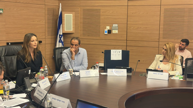 Violenza contro le donne al picco: le autorità di Ben Gvir restano in silenzio