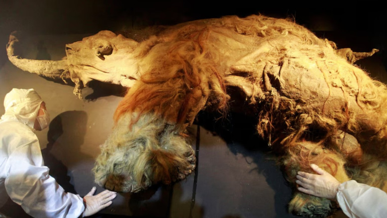 RNA antico scoperto nei resti di una giovane donna siberiana