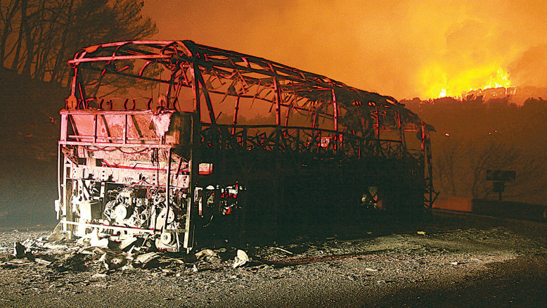 15 anni dopo il disastro del Carmel: la memoria di Elad Ben Rivn, giovane volontario che ha perso la vita