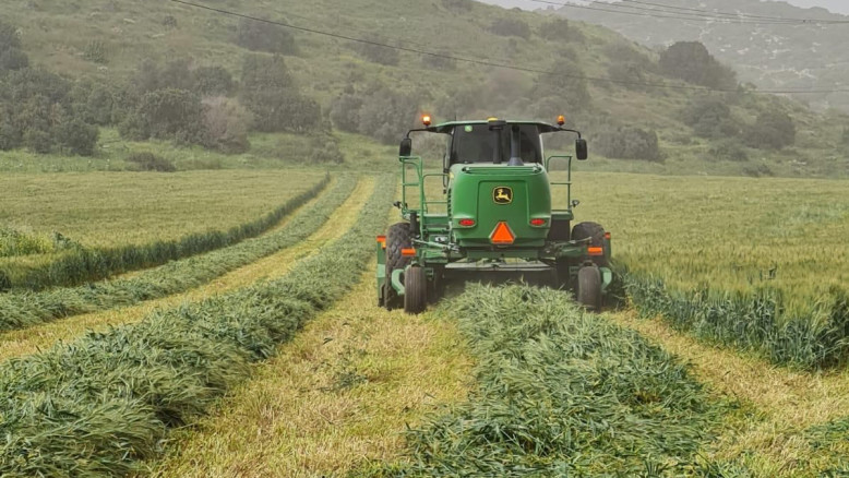 Tempesta a Be’er Sheva: la siccità si interrompe e i campi tornano verdi