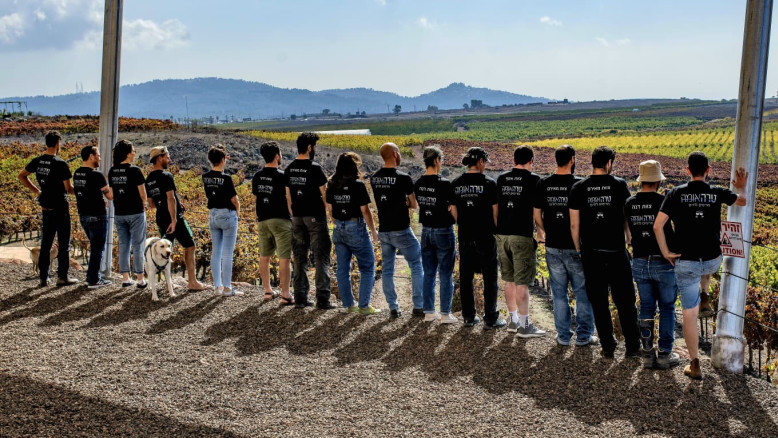 Vino e guarigione: la terapia del PTSD tra i veterani di Israele