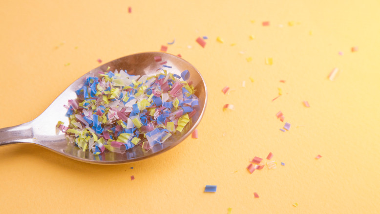 Before the Bags and Bottles: The Plastic That Animals Have Already Learned to Eat