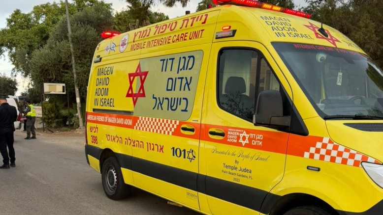 בת 90 נהרגה מפגיעת משאית סמוך לברור חיל