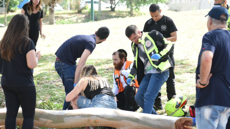 Potatura mortale: 41enne ucciso da albero caduto nella regione di Sharon