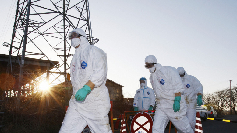 H5N1 in Israele: primo caso di influenza aviaria in un allevamento di anatre e le misure del governo