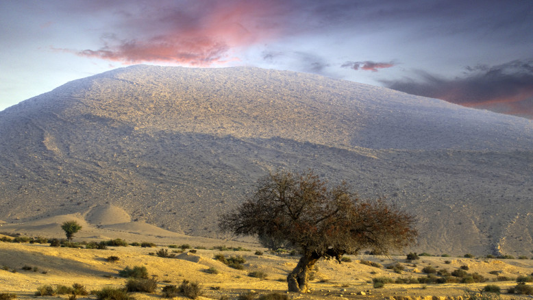 Nuovo Piano per lo Sviluppo degli Insediamenti Rurali in Israele: Una Svolta per il Negev e la Galilea