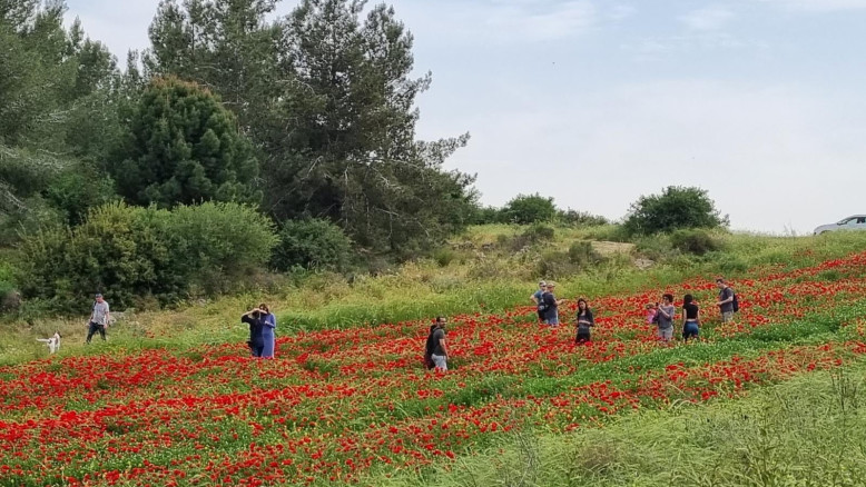 KKL-JNF Chairman: "I want to reduce waste, cut expenses, and refocus"