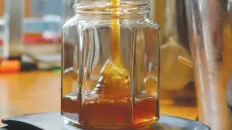 Api in pericolo in Israele: clima secco, conflitto e cambiamenti climatici minacciano la pollinazione