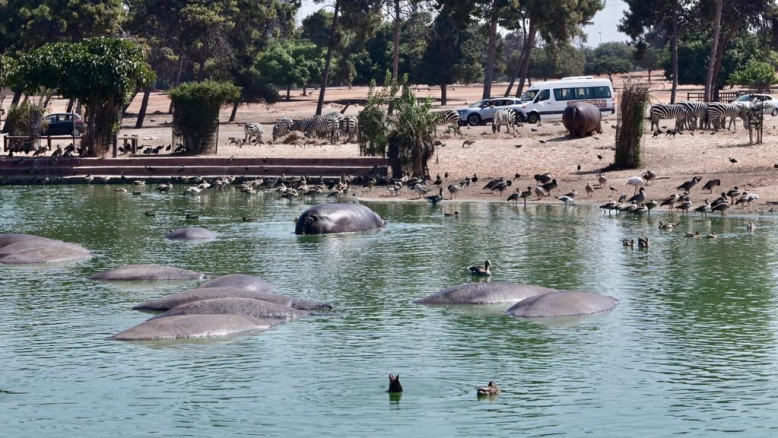 Ramat Gan: 1.200 appartamenti in torri, parco Safari spostato e nuova zona residenziale