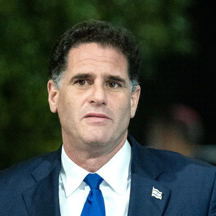 רון דרמר (צילום: יונתן זינדל פלאש 90)