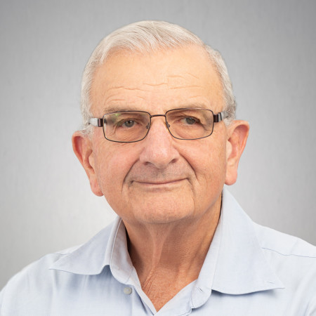 פרופ' שאול חורב 