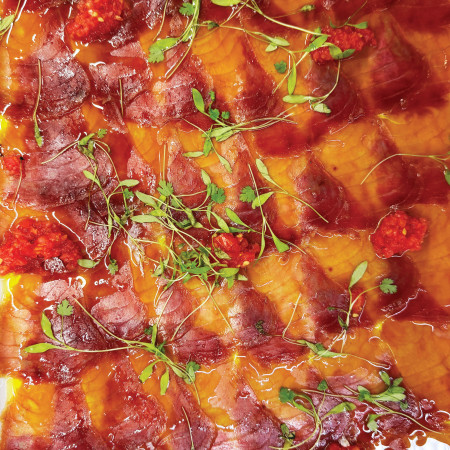 דן אילת טונה אדומה 