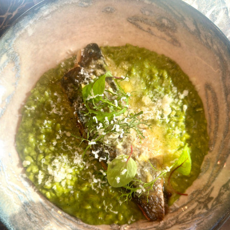 פילה לברק צרוב בחמאת זעפרן וציר דגים