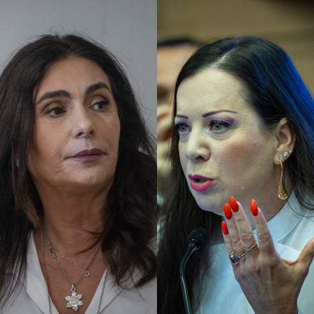 טלי גוטליב, מירי רגב