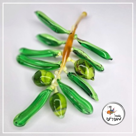 סטודיו מנדרינה