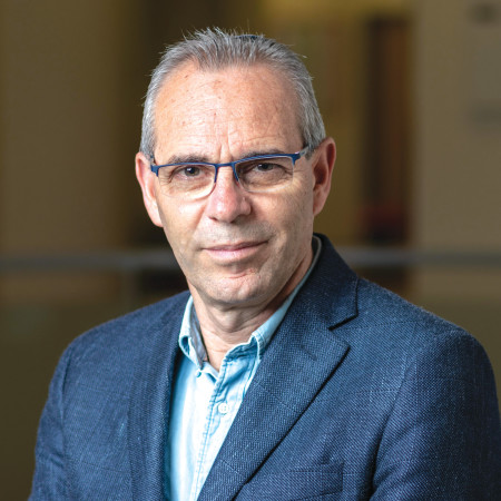 פרופסור דוד פסיג 