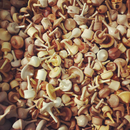 הסביבונים של לאוניד ליושקביץ 