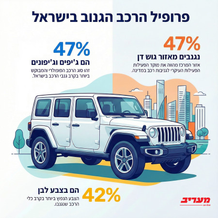 פרופיל הרכב הנגנב בישראל