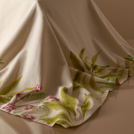 The Edit של פריימרק