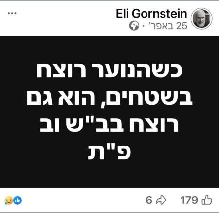 הפוסט של אלי גורנשטיין  (צילום: צילום מסך רשתות חברתיות)