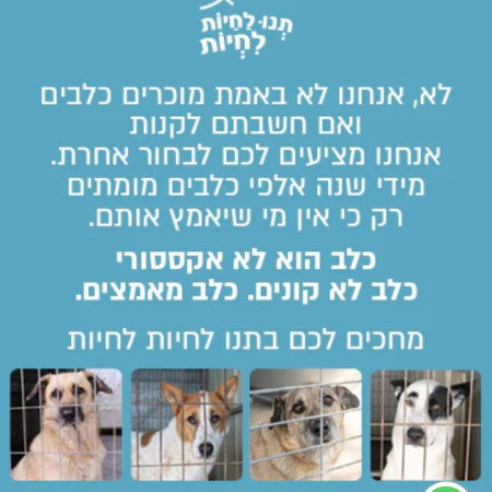 הקמפיין של המשביר ותנו לחיות לחיות