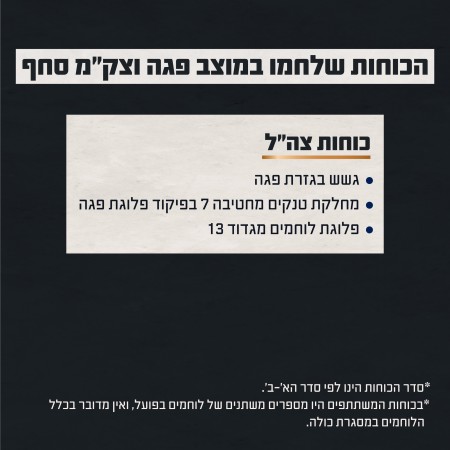 הכוחות שלחמו במוצב פגה וצק''מ סחף