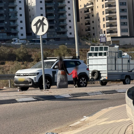 תופעת הקבצנים