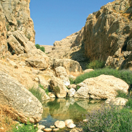 עין פרת  (צילום: דורון ניסים, רשות הטבע והגנים)