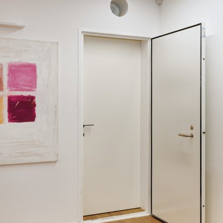 דלת ממ''ד של רב בריח