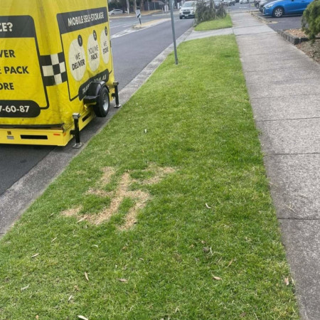 צלב קרס על דשא במלבורן, אוסטרליה