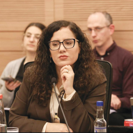 ח''כ נעמה לזימי