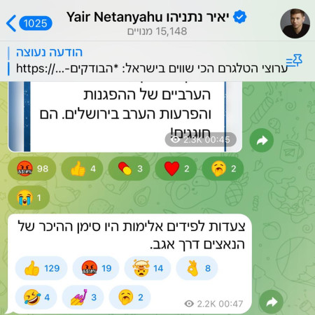 ההשוואה של יאיר נתניהו בין המפגינים לנאצים (צילום: צילום מסך טלגרם)