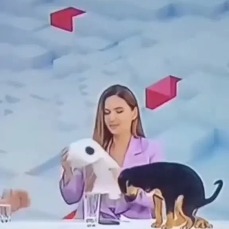 המגישה נותרה מובכת