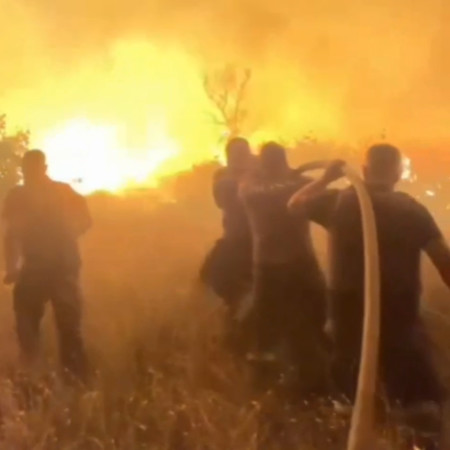 שריפות בעלמא א-שעב בלבנון (צילום: רשתות ערביות)