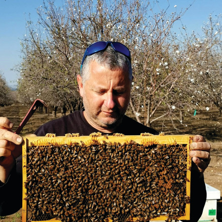 דורון ליבנה יו''ר ארגון מגדלי הדבורים בישראל (צילום: ארגון מגדלי הדבורים)