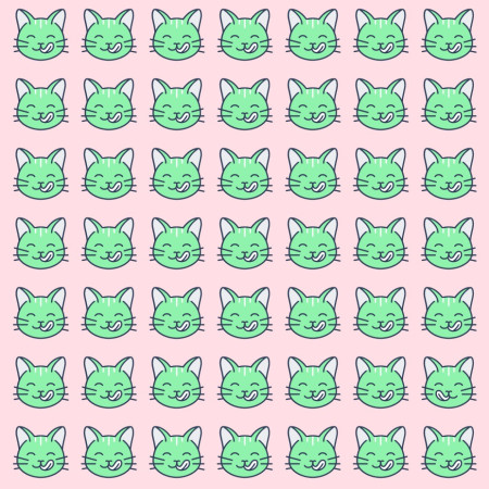 מצאו את החתול יוצא הדופן