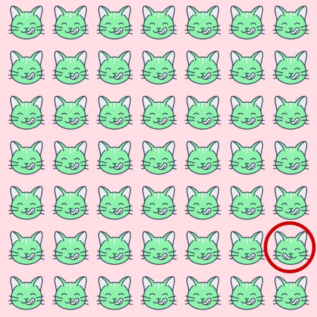 הפתרון לפניכם