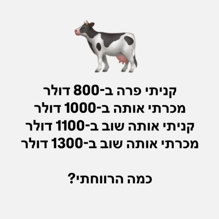 חידה (צילום: מעריב אונליין)