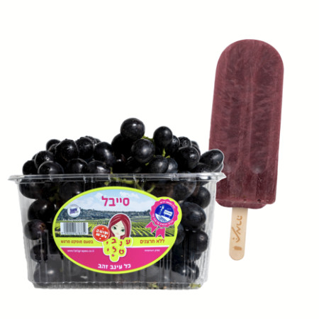 ארטיק ענבי סייבל תמרה (צילום: יחצ)
