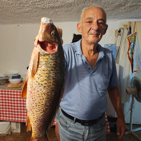 בעל המסעדה המגיש רק דגים מהאגם. הטענה היא שדג הקרפיון כאן הוא מהמשובחים בעולם בטעמו (צילום: עמרי גלפרין)