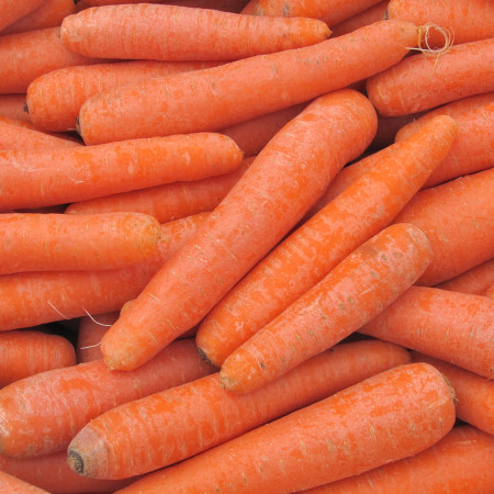 היתרונות הבריאותיים של הגזר