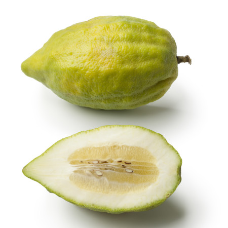 אתרוג (צילום: אינג'אימג')