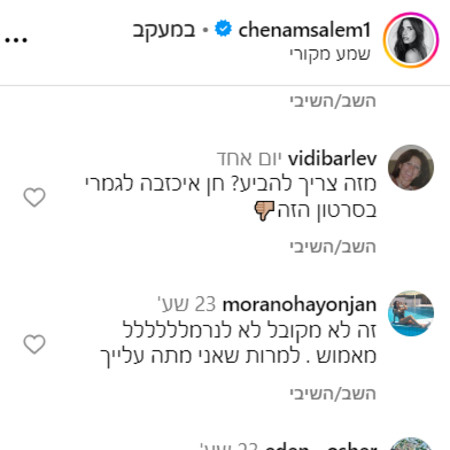 העוקבים מבקרים את חן אמסלם  (צילום: צילום מסך אינסטגרם)