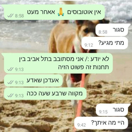 תכתובות שנמצאו בטלפון של אסף דגן ז''ל (צילום: צילום מסך)