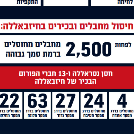 סיכום מבצע חיצי הצפון (צילום: דובר צה''ל)