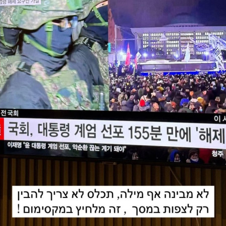 לאה שנירר בדרום קוריאה (צילום: צילום מסך אינסטגרם)